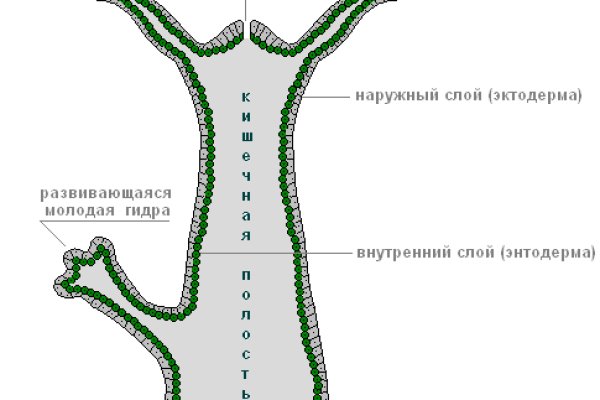 Омг работает